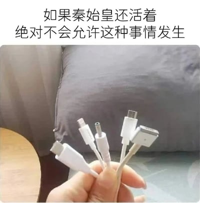 图片上方配有文字“如果秦始皇还活着 绝对不会允许这种事情发生”，下方是一只手握着多根不同类型的充电线，包括USB-A、USB-C、Lightning等多种接口。通过将秦始皇统一度量衡的历史典故与现代充电接口规格混乱的现象进行幽默对比，调侃了当前电子设备充电接口不统一给人们生活带来的不便。