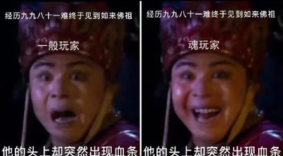 暂无描述