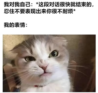 图片上半部分为文字内容，写着“我对我自己：*这段对话很快就结束的，忍住不要表现出来你很不耐烦*”以及“我的表情：”。下半部分是一张猫咪的照片，猫咪眼神略带犀利，面部表情看似平静却难掩一丝不耐烦，生动展现了人们内心想隐藏不耐烦却被表情出卖的真实场景，通过文字与猫咪表情的对比制造出幽默效果。