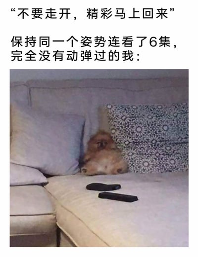 这是一张充满趣味的搞笑梗图，上方配有两段文字，第一段是影视节目中常见的插播提示语“不要走开，精彩马上回来”，第二段文字描述“保持同一个姿势连看了6集，完全没有动弹过的我：”，引出下方的实拍画面：一只浅棕色的小狗瘫在沙发的两个抱枕缝隙之间，身体放松地靠着抱枕，保持着纹丝不动的慵懒姿势，完美对应了追剧时沉迷剧情、长时间保持同一姿势不愿动弹的状态，用小狗的可爱模样调侃了追剧人的投入与慵懒，十分贴合日常追剧的真实写照，容易引发共鸣。