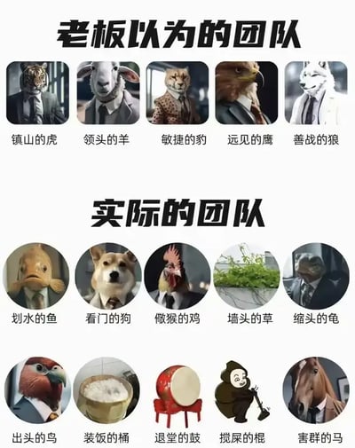 这张图片用分层对比的形式，嘲讽了老板心目中理想团队和实际团队成员的巨大落差。上半部分是理想型：各种穿西装的猛兽或精英动物（如虎、鹰、豹等），象征权威、敏捷、远见等特质；下半部分则极为现实且幽默，包括滑水摸鱼的鱼、混饭吃的桶、退堂鼓等各种“摸鱼怪才”及网络谐音梗，强烈反差极具讽刺和自嘲意味，非常适合用于职场群聊吐槽。图片大量用动物和物品拟人化并结合网络热词及谐音梗，加深职场生态调侃和玩梗属性。