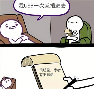 这是一张上下两格的卡通漫画梗图。上格中，左侧坐在棕色沙发上的白色简笔角色得意地说：“我USB一次就插进去”，右侧绿色椅子上的角色手持笔记本平静倾听。下格特写右侧角色翻看的笔记本，上面写着“很明显，患者有妄想症”，而左侧角色则低头露出苦恼表情。通过夸张对比调侃了人们日常插USB需要多次尝试的普遍经历，以“妄想症”诊断制造幽默效果。