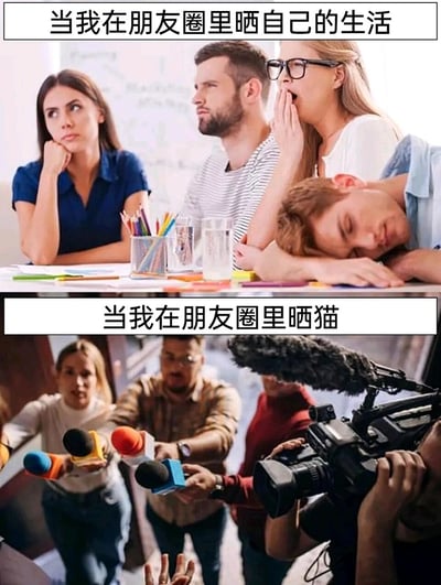这是一张上下拼接的对比类网络梗图，上图配文“当我在朋友圈里晒自己的生活”，画面呈现出几个人状态冷淡的场景：有人托腮一脸无聊，有人侧头面露不耐烦，有人打哈欠倦怠，还有人直接趴在桌上熟睡，生动表现出朋友圈好友对博主个人日常内容毫无兴趣的状态；下图配文“当我在朋友圈里晒猫”，画面是一群人拿着话筒、摄像机围拢上来的热闹场面，如同记者采访一般，强烈对比出朋友圈里大家对博主晒猫内容的高度关注，趣味调侃了当下社交平台中宠物内容远比个人日常更受欢迎的现象。