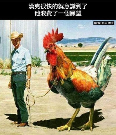 图片中一名戴着牛仔帽的男子手持绳索，牵着一只体型异常庞大的公鸡站在乡村田野背景前。男子穿着蓝色衬衫和深色裤子，表情平静；巨型公鸡羽毛色彩鲜艳，昂首挺胸。图片顶部配有文字'漢克很快的就意識到了 他浪費了一個願望'，通过男子与巨型公鸡的反差营造出幽默效果，暗示公鸡是汉克浪费愿望的结果。