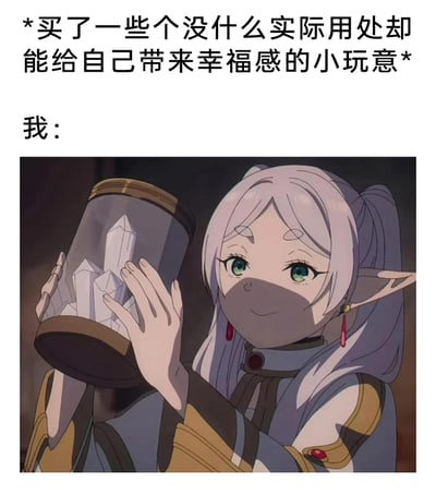 这是一张结合了动画截图与文字的趣味梗图，上方配文点明场景：购买了没有实际用处但能带来幸福感的小玩意，下方用“我：”引出动画《葬送的芙莉莲》中芙莉莲双手捧着装有晶体的容器、面带温柔微笑的画面。角色珍视手中物品的神态，精准地还原了人们买到心仪的非刚需小物件后，内心充满满足与幸福的状态，能够引发众多有类似消费体验的网友共鸣。