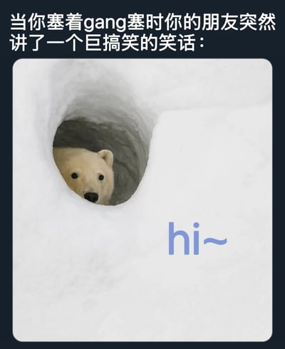 图片上方配有文字“当你塞着gang塞时你的朋友突然讲了一个巨搞笑的笑话：”，下方是一张北极熊从雪洞探出头的照片，洞口右侧有浅蓝色“hi~”字样。整体通过北极熊卡在雪洞中的呆萌形象，幽默比喻了人在便秘时想笑又不敢笑的尴尬又无奈的状态，充满生活气息的搞笑场景。