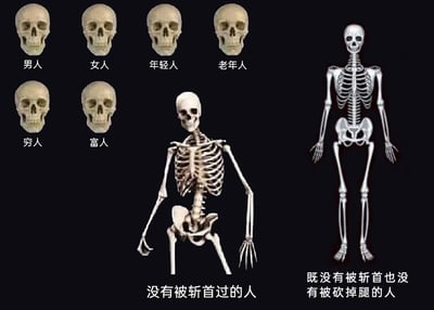 这是一张充满黑色幽默与反讽意味的网络梗图，画面以深色为背景，分为三个主要区域：左上区域排列着六个外观完全相同的人类骷髅头，分别被标注“男人”“女人”“年轻人”“老年人”“穷人”“富人”，通过视觉上的一致性，消解了人类生前的身份、年龄、贫富等世俗差异，传递出死亡面前人人平等的内核；中间区域是一具没有头颅、肢体残缺的坐姿骷髅，下方配文“没有被斩首过的人”，利用视觉形态与文字描述的强烈反差形成反讽，骷髅的无头颅状态恰恰证明它经历过斩首；右下角是一具形态完整的站姿骷髅，配文“既没有被斩首也没有被砍掉腿的人”，与中间的残缺骷髅形成鲜明对比，进一步放大了反讽效果。整幅图通过荒诞的创意改编，以骷髅这一象征死亡的元素为载体，引发观者对生命本质、身份意义的思考，风格戏谑且具有思辨性。