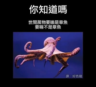 这张梗图采用了无厘头冷知识科普风格，通过“世间万物要嘛是章鱼，要嘛不是章鱼”这样的极端二分法荒诞论断，配合章鱼图片和谐音双关，制造幽默和荒诞感。‘章鱼’谐音‘草鱼’，是一种网络语言梗。图右下方带有‘译：好色龙’的水印，说明此图片为网友二次创作或翻译恶搞。整体适用于群聊、斗图及闲聊中的搞笑用途。