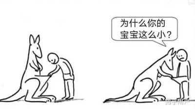这是一张左右分镜的黑白线稿连环梗图：左分镜中，一名人类弯腰伸手去查看袋鼠的育儿袋，似乎在好奇里面的宝宝；右分镜中，袋鼠反过来伸手去查看人类的下半身，同时发出疑问“为什么你的宝宝这么小？”。
这个梗的笑点在于袋鼠将人类的下体结构误会成了自己的育儿袋，产生了尴尬又荒诞的错位误会，属于带有低俗趣味的搞笑段子。
