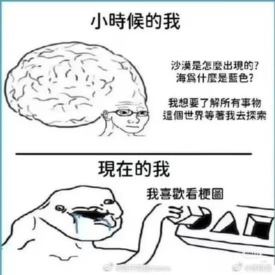 这张图是上下对比的梗图，上半部分是“小时候的我”，画着一个大脑袋戴眼镜的形象，配文是充满求知欲的问题：“沙漠是怎么出现的？海为什么是蓝色？我想要了解所有事物 这个世界等著我去探索”，表现出孩童时期对世界充满好奇、渴望探索的状态；下半部分是“现在的我”，是一个颓废的网络迷因形象，流着口水瘫在一边，配文“我喜欢看梗图”，对比出长大后失去探索欲，只想躺平看梗图放松的状态，用夸张的反差感引发共鸣。
图中问题的回答：
1. 沙漠形成的原因：自然因素包括气候干旱，降水稀少、蒸发量大，风力侵蚀搬运作用强，地形封闭导致水汽难以抵达等；人为因素包括过度放牧、滥砍滥伐、过度开垦等破坏地表植被，加速土地沙漠化。
2. 大海呈蓝色的原因：太阳光由多种色光组成，海水会吸收波长较长的红、橙、黄色光，而波长较短的蓝、紫光更容易被海水散射和反射，同时天空的蓝色也会反射到海面，所以我们看到的大海多为蓝色。