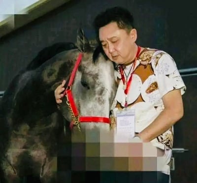 图片中一名男子正与一匹马亲密互动，他侧身站立，头部轻轻靠在马的头顶，右手温柔地握住马头上的红色缰绳。男子穿着一件印有棕色和金色花纹的白色短袖衬衫，脖子上挂着红色挂绳，挂绳末端有一张白色ID卡。马匹毛色主要为深灰色，脸部带有白色斑块，眼神温顺。背景是深色的室内环境，可能是马厩或类似的场所。整体画面传递出人与动物之间温馨和谐的氛围。
