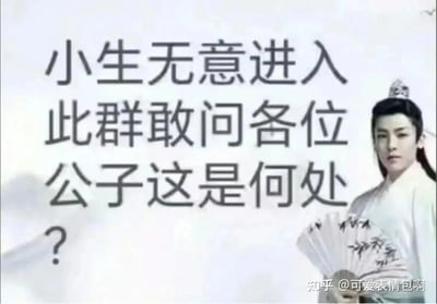 图片左侧是大段半文半白的文字“小生无意进入此群敢问各位公子这是何处？”，右侧是身着白色古装、手持折扇的男子形象，背景为淡蓝色云雾。整体呈现出“古风小生”梗的典型风格，通过尴尬的文言表达与现代群聊场景结合，形成幽默调侃效果。