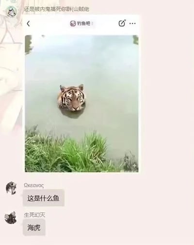这是一张即时通讯软件的群聊记录截图，群名称为“还是被内鬼搞死你群(山贼佬)”。群内用户“Ωκεανος”分享了一张来自百度贴吧“钓鱼吧”的图片，图片内容是一只老虎在水域中，仅将头部露出水面。随后该用户提问“这是什么鱼”，故意将老虎混淆为鱼类，另一位用户“生死幻灭”配合玩梗，回复“海虎”，用概念错位的方式制造出荒诞搞笑的效果，属于网友之间的趣味互动内容。