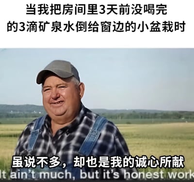 这张梗图上方有文字“当我把房间里3天前没喝完的3滴矿泉水倒给窗边的小盆栽时”，中间是一位戴着帽子、穿着格子衬衫和背带裤的农民微笑着站在田野中的照片，下方有文字“虽说不多，却也是我的诚心所献”以及英文翻译“It ain't much, but it's honest work”。图片通过将农民的经典“诚实劳动”形象与给盆栽浇少量水的微小行为结合，形成幽默对比，表达了虽然付出很少但充满诚意的自嘲式幽默。