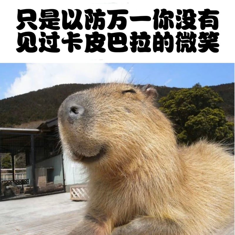 卡皮巴拉