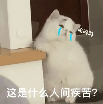 这是一张经过二次创作的静态表情包图片，主体是一只白色的猫咪，它将两只前爪搭在柜子的边缘，身体半蹲在地面，原本的神态就带有低落感，被创作者添加了蓝色的眼泪特效，进一步强化了委屈哭泣的情绪。图片右上方配有文字“呜呜呜”，底部配有文字“这是什么人间疾苦？”，整体内容生动地表达了人们在遭遇生活、工作中的烦心事时，那种痛苦、无奈又委屈的情绪，适合用来向他人吐槽自己的不顺经历。