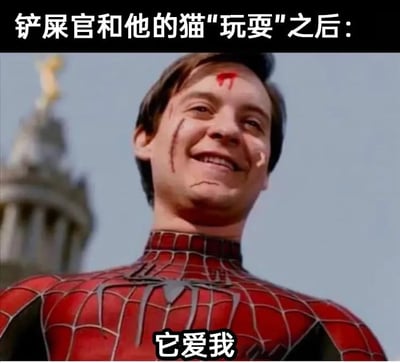 这张梗图用幽默的方式呈现了“钓屎官”（铲屎官，指养猫的人）和猫咪互动后的自我感动场景。画面用电影《蜘蛛侠》中蜘蛛侠的经典形象，下面配文“它爱我”，代指主人以为自己和猫玩耍后猫猫会爱上自己，但实际猫可能并不这么想，属于自我感动式的搞笑。该图有轻微双关和自嘲意味，戏仿了人与宠物的关系。