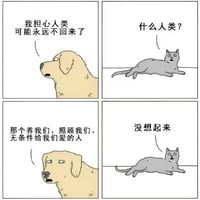 黄色狗狗