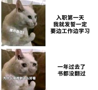 这是一张上下对比的图文拼接静态梗图，用两只状态截然不同的猫咪来代指职场人的两种状态。上图中，猫咪握拳抬起，眼神坚定，配文“入职第一天我就发誓一定要边工作边学习”以及“提升自己！”，展现了刚入职时充满斗志、立志自我提升的职场人心态；下图中，猫咪眼眶湿润，神情萎靡，配文“一年过去了书都没翻过”以及“为什么电视剧这么好看”，呈现了一年后沉迷娱乐、没能实现当初立下的学习目标的真实状态。图中内容精准戳中了许多职场人立下自我提升的flag后，却因外界诱惑或自身拖延而没能坚持的普遍经历，充满共鸣感和调侃意味，没有双关、谐音梗等特殊内容。