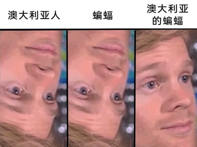 这是一张由三格图像组成的搞笑网络梗图，利用视觉错位的创意制造笑点。第一格是倒过来的人脸，上方标注“澳大利亚人”；第二格是与第一格几乎相同的倒放人脸，但移除了倒放时看起来像嘴部的区域，上方标注“蝙蝠”；第三格是正过来的正常人脸，上方标注“澳大利亚的蝙蝠”。通过这种视觉转换，调侃澳大利亚的蝙蝠体型巨大，仿佛和人类拥有相似的面部特征，用荒诞的错位效果来玩地域相关的搞笑梗，整体风格诙谐幽默，符合网络迷因的传播特点。