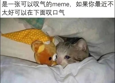 暂无描述