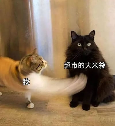 图片左侧是一只橘白相间的猫，正甩动着尾巴，尾巴因快速移动而模糊，猫的头部转向右侧，身上标注文字“我”。右侧是一只毛发蓬松的黑猫，端正地坐着，眼神平静地看向前方，身上标注文字“超市的大米袋”。图片通过将静态的黑猫比喻成超市里的大米袋，与左侧动态甩尾的橘白猫形成有趣对比，营造出幽默效果。