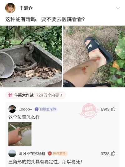 社交媒体用户“丰满仓”发布帖子询问图中蛇是否有毒及是否需要就医，帖子包含两张图片：左侧为石槽中的蛇，右侧为腿部疑似蛇咬伤口。评论区出现幽默回复，其中“Looooo-”的评论获“神评”标识（8913赞），内容为“这个位置怎么样”；“清风不在拂杨柳”则调侃“三角形的蛇头具有稳定性，所以稳死！”，利用“稳定”与“稳死”谐音制造笑点。