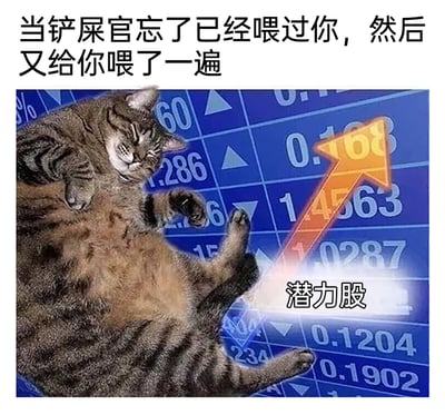 这是一张趣味宠物梗图，上方配文“当铲屎官忘了已经喂过你，然后又给你喂了一遍”，图中主体是一只肚皮圆滚滚的胖狸花猫，它四脚朝天躺着，眯着眼，表情满足惬意。背景被P上了带有上升箭头和各类数字的股票走势图，箭头下方标注着“潜力股”字样。图中用股票术语“潜力股”调侃猫咪在被重复投喂后，体重还有上涨空间，将猫咪的贪吃、圆胖的状态和股票上涨的概念结合，制造出反差搞笑的效果，生动展现了养猫过程中这种有趣的小日常。