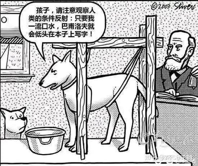 这是一幅黑白讽刺单格漫画，改编自经典的巴甫洛夫条件反射实验：原本实验是让狗对特定刺激产生流口水的条件反射，而这幅图反其道而行之，画面里一只成年狗正一本正经地向小狗介绍，只要自己一流口水，旁边的巴甫洛夫就会低头在本子上记录。通过反转实验主体与对象的条件反射关系，制造出荒诞搞笑的讽刺效果，调侃了经典科学实验的逻辑。