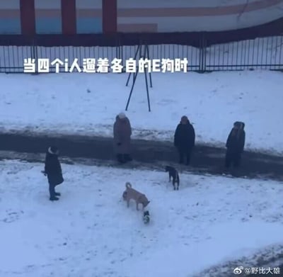 这是一张雪天户外的照片，画面里四位穿着厚重冬装的行人各自站在路边，彼此之间保持着一定距离，没有互动，契合MBTI中i人（内向型人格）社恐、不爱主动社交的特质；而他们的几只狗狗则在前方雪地里凑在一起欢快互动，对应配文里的“E狗”（对应代表外向型人格的E人），生动展现出内向主人和外向宠物之间的强烈反差。配文“当四个i人遛着各自的E狗时”精准点出了这个趣味反差，让画面充满诙谐感，很容易引发有类似经历的养宠人共鸣。