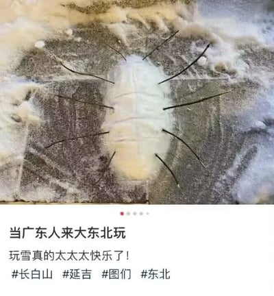 暂无描述