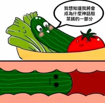 这是一张玩中文谐音双关梗的原创搞笑漫画，图片分为上下两部分：上半部分绘制了放在黄色菜碗里的三个拟人化蔬菜，分别是带笑脸的生菜、一脸憧憬表情的黄瓜、带笑脸的番茄，黄瓜开口说出自己的憧憬：“我想知道我将会成为什么神话般菜肴的一部分”；下半部分展示了最终结果，黄瓜被切片夹在两片面包中做成三明治，切片后的黄瓜端头有两个圆孔，形态结合“菜肴”的谐音低俗梗，形成了反差感的搞笑效果，呼应了标题“不对”的暗示。