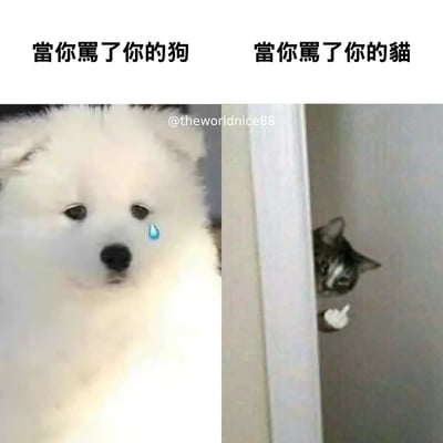这是一张左右对比图，展示了宠物被责骂后的不同反应。左边是一只萨摩耶犬，脸上带着悲伤的表情，并有一滴蓝色的眼泪特效，上方文字写着“當你罵了你的狗”（当你骂了你的狗）。右边是一只猫从门后探出头来，表情显得冷漠而不屑，上方文字写着“當你罵了你的貓”（当你骂了你的猫）。图片通过对比生动地表现了狗的敏感和猫的无所谓态度，形成幽默效果。