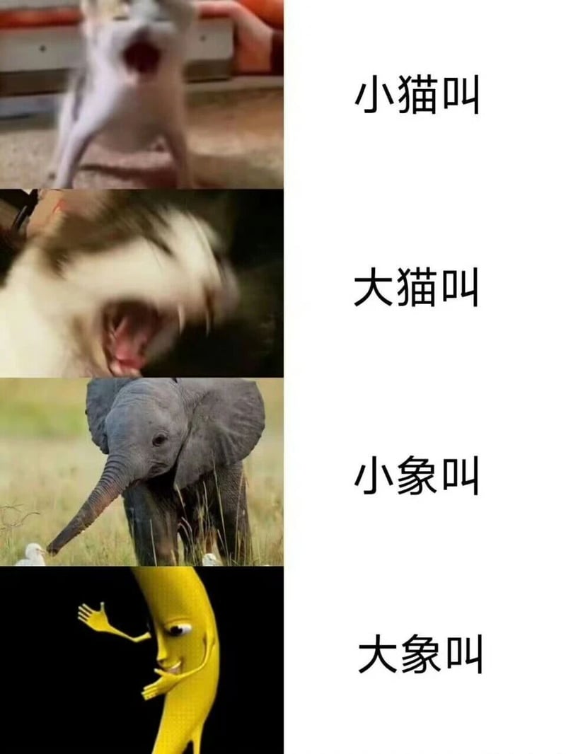 小象