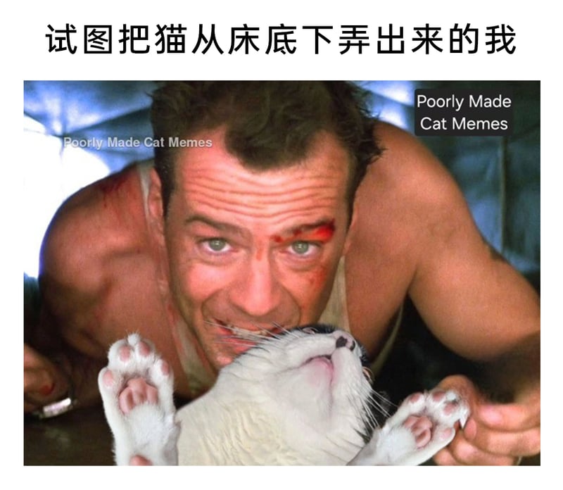 虎胆龙威