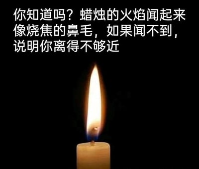 这是一张图文结合的无厘头趣味梗图，背景为纯黑色，画面下方是一支正在燃烧的蜡烛，明亮的火焰在黑暗环境中格外醒目；图片上方配有白色的调侃文字，以冷知识的口吻称蜡烛火焰的气味类似烧焦的鼻毛，还调侃闻不到这种气味是因为离得不够近，用夸张、离谱的关联描述制造反差感，以此达到搞笑效果，属于网络上流行的趣味段子类梗图。