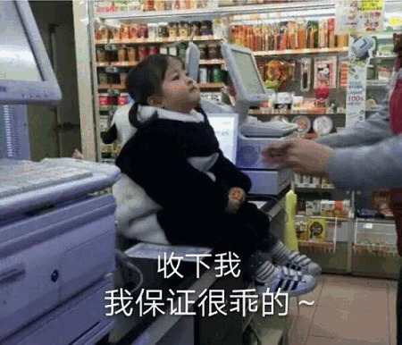 权律二萌态求收养：收下我保证很乖~