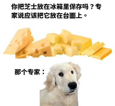 图片上方文字提出疑问“你把芝士放在冰箱里保存吗？专家说应该把它放在台面上。”，中间是一堆不同形状的黄色芝士块（包括带孔的奶酪和切片奶酪），下方文字“那个专家：”旁边是一只白色金毛幼犬抬头注视的照片。通过将“专家”身份幽默地替换为小狗，形成反差萌的搞笑效果，暗讽某些所谓“专家建议”的不可靠性。