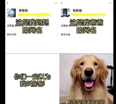 这是一张多图拼接的文字加注类搞笑梗图，整体分为上下两个部分。上半部分是两张社交媒体账号的截图，左侧账号名为“彤彤妈”，配文标注“这是我妈妈的网名”；右侧账号名为“彤彤爸”，配文标注“这是我爸爸的网名”，这部分内容会引导观看者形成“账号主人的孩子名叫彤彤”的固有认知。下半部分左侧是纯文字内容“你们一定以为我叫彤彤”，直接点出观看者的预想，右侧是一张金毛犬的照片，狗狗吐着舌头，表情看起来十分开心，配文“彤彤是我家的狗狗”，通过这种认知反转制造出强烈的幽默效果，打破了观看者之前的预期，将“彤彤”的身份从人类孩子转变为宠物狗狗，形成趣味反差。