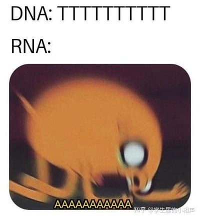 这是一张结合生物知识点的趣味梗图，上方文字标注“DNA: TTTTTTTTTTT”，下方对应RNA的部分，使用了一张表情夸张、张大嘴巴尖叫的卡通动物图，图下方配了一串“AAAAAAAAAA”。
梗图的笑点在于：在生物的转录过程中，DNA中的胸腺嘧啶（T）会与RNA中的腺嘌呤（A）互补配对，所以全是T的DNA转录出的RNA就是全是A，用尖叫的表情包和重复的A来表现，既还原了知识点，又用夸张的视觉效果制造出搞笑反差，把字母的重复和尖叫的状态结合，让严肃的知识点变得生动有趣。