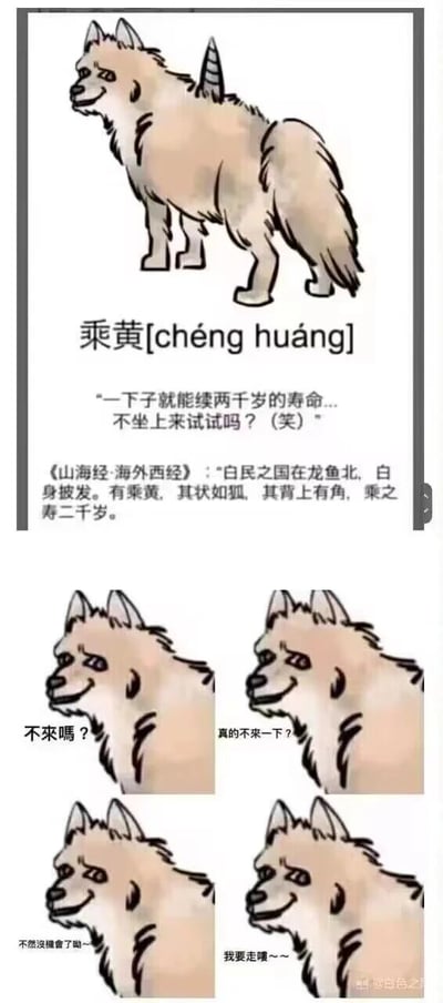 这是一张以《山海经》中神话生物“乘黄”为主题的meme图。上方为乘黄的卡通形象，其状如狐、背生一角；中间配有文字介绍：“乘黄[chéng huáng]”“一下子就能续两千岁的寿命...不坐上来试试吗？（笑）”，并引用《山海经·海外西经》原文“白民之国在龙鱼北，白身披发。有乘黄，其状如狐，其背上有角，乘之寿二千岁。”。下方则是四张小图，乘黄分别说着“不来吗？”“真的不来一下？”“不然没机会了哦~”“我要走哦~~”，用戏谑的语气邀请观者乘坐，将古籍中的神秘生物转化为具有现代网络幽默风格的形象。