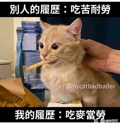 这是一张采用上下文字对比形式的静态搞笑自嘲梗图，上方标注“别人的履歷：吃苦耐勞”，对应职场中他人简历里突出的吃苦耐劳的正向特质；下方标注“我的履歷：吃麥當勞”，用“麥當勞”与“當勞”的谐音制造反差，以自嘲的方式调侃自己的简历没有亮眼的职场优势，反而用“吃麦当劳”这种轻松摆烂的表述，展现出与主流职场期待不同的心态。图中主体是一只被人手按住后颈的橘猫，它嘴里叼着一根麦当劳薯条，眼睛瞪大，神情慌张又惊讶，生动的神态与文字的自嘲感相呼应，进一步强化了搞笑效果，容易引发职场年轻人的共鸣。