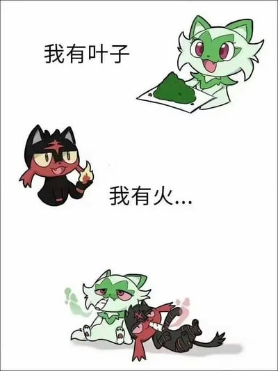 图片分为三格连环展示：顶部绿白相间的猫形角色手捧绿色叶子，配文“我有叶子”，表情开心；中部黑红相间的猫形角色手持火焰，配文“我有火...”，表情略带得意；底部绿猫坐地表情委屈，黑猫则躺倒在地，暗示火焰可能引发了意外。整体通过角色互动展现反差萌的搞笑场景。