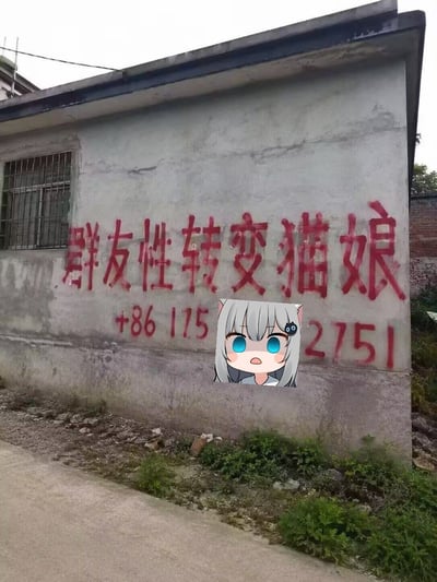 整张图为实拍的乡村老旧平房外墙画面，墙面为水泥质地，有明显风化痕迹，左侧设有带金属防盗网的窗户。墙面上用红色油漆模仿乡村小广告的样式喷涂了恶搞文字“群友性转变猫娘”，下方附带了部分手机号码“+86 175 2751”，在手机号中间位置还P上了一个银发蓝眼的二次元猫娘头像，头像表情惊讶，和接地气的乡村墙面广告形式形成强烈反差，充满搞笑玩梗的效果。