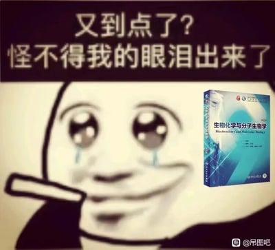 这是一张静态的图文混排类梗图，主体是经典的熊猫头卡通表情包形象，它双眼含泪，嘴角叼着类似烟杆的物品，表情呈现出无奈又崩溃的状态。图片上方配有文字“又到点了？怪不得我的眼泪出来了”，右侧放置了一本医学院校的经典专业教材《生物化学与分子生物学》。这张图以幽默夸张的方式，调侃医学生或相关专业的学习者，每当到了学习生物化学这门以内容复杂、知识点晦涩难懂著称的课程的时间，就会条件反射般感到痛苦崩溃，仿佛“emo落泪”，精准戳中这类学习者的学习痛点，用搞笑的形式抒发了学习这门高难度课程的无奈情绪。