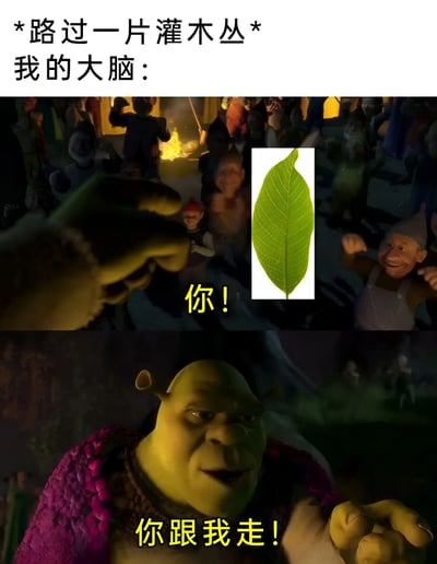 图片上方文字为“*路过一片灌木丛* 我的大脑：”，下方分为两张图。第一张图是《怪物史莱克》中的场景，史莱克伸出手指向画面中央的一片绿色叶子，叶子旁有黄色文字“你！”，背景是一群欢呼的童话角色和篝火；第二张图是史莱克的特写，他表情坚定，伸出手说“你跟我走！”。整体通过夸张的电影场景，幽默地表现了路过灌木丛时大脑产生的离谱联想，将普通的叶子想象成被史莱克特指的对象。