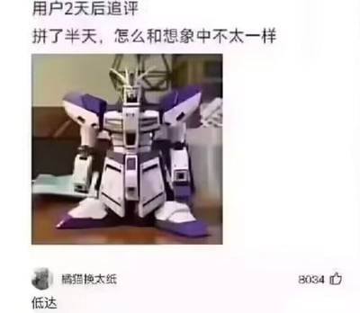 这是一张社交媒体平台的用户追评截图，内容为一位用户花费半天时间拼装高达模型后，发现成品和自己想象中的帅气形态差距巨大，模型呈现出矮胖的奇怪站姿，于是发布追评吐槽“拼了半天，怎么和想象中不太一样”。下方另一位用户“橘猫换太纸”评论“低达”，用“高”与“低”的谐音玩梗，调侃拼装失败的模型毫无高达的挺拔帅气，变得又矮又挫，这条评论获得了8034个点赞，整体氛围充满搞笑的吐槽感。
谐音梗说明：“低达”是“高达（Gundam）”的谐音，用“低”替换“高”，精准对应模型矮胖失败的形态，形成反差搞笑效果。