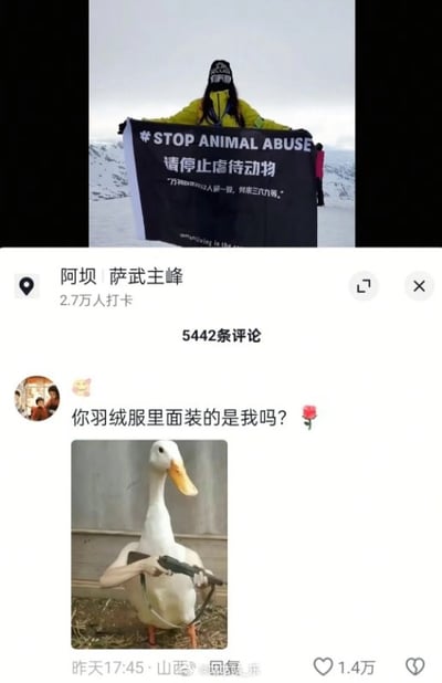 这张图是国内生活分享社交平台的帖子截图，上半部分显示一名面部被遮挡、身穿黄色羽绒服的人在阿坝州萨武主峰的雪地上，举着印有英文“#STOP ANIMAL ABUSE”和中文“请停止虐待动物”字样的黑色宣传横幅；下半部分是该帖子的评论区，一条获赞1.4万的高赞评论搭配了一张经过PS修改、被加上人类手臂并手持枪械的白鸭图片，配文“你羽绒服里面装的是我吗？”，用幽默调侃的方式讽刺了发布动物保护呼吁的博主自身穿着通常由鸭/鹅绒填充的羽绒服的言行矛盾。