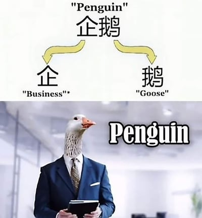 这是一张利用中文拆字玩梗的搞笑迷因图，上半部分通过文字拆解展示了中文词汇“企鹅”的趣味对应：将“企”对应英文“Business（商务）”，“鹅”对应英文“Goose（鹅）”；下半部分则通过图像合成的方式，把鹅的头部与穿着正式商务西装的身体结合，标注英文“Penguin”，将拆字的含义具象化，制造出“商务鹅=企鹅”的荒诞搞笑效果，是对中文词汇的创意解构和视觉化演绎，充满了网络迷因的幽默风格。