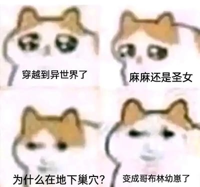 这是一张由四格组成的连环搞笑表情包，采用了网络知名的歪脸猫（Mur猫）卡通形象作为主角，通过递进的剧情和表情变化制造强烈的反差笑点。第一格中猫的表情带着懵懂期待，配文“穿越到异世界了”，是常见的爽文类穿越开局；第二格猫的表情转为惊喜，配文“麻麻还是圣女”，将开局升级为“天胡配置”；第三格猫的表情变为疑惑不解，配文“为什么在地下巢穴？”，打破了之前的美好预期；第四格猫的表情转为生无可恋，配文“变成哥布林幼崽了”，完成最终反转，把原本的爽文开局彻底变成了悲惨的展开，用这种反向的剧情落差来契合网友对反套路内容的喜爱，搞笑效果拉满。